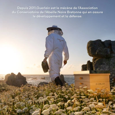 Guerlain Abeille Royale Bee Lab Shot Cure Anti-âge 10 Guerlain Abeille Royale Bee Lab Shot Cure Anti-âge – Image 10