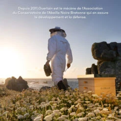 Guerlain Abeille Royale Sérum Huile-en-Eau Jeunesse 28 Guerlain Abeille Royale Sérum Huile-en-Eau Jeunesse -Kapao Magasin abeille royale serum huile en eau jeunesse 8