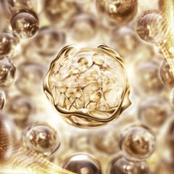 Lancome Absolue Crème Contour Des Yeux 8 Lancome Absolue Crème Contour Des Yeux -Kapao Magasin absolue 2