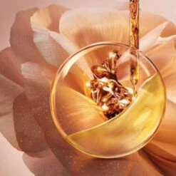 Lancome Absolue - Recharge Crème Riche Régénérante Illuminatrice Crème De Soin -Kapao Magasin absolue cr riche 3