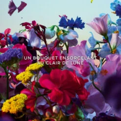 Guerlain Absolus Allegoria Florabloom Eau De Parfum 24 Guerlain Absolus Allegoria Florabloom Eau De Parfum -Kapao Magasin absolus allegoria florabloom 10