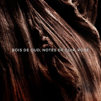 Guerlain Absolus Allegoria Oud Essentiel Eau De Parfum 2 Guerlain Absolus Allegoria Oud Essentiel Eau De Parfum – Image 2