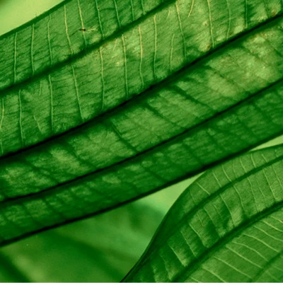 Biotherm Aquasource Sérum Concentré Hydratation Profonde Et Lumière 2 Biotherm Aquasource Sérum Concentré Hydratation Profonde Et Lumière – Image 2