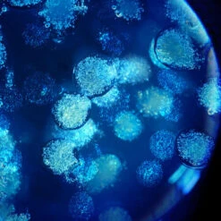 Biotherm Biovergetures Gel-Crème Corps Prévention Vergetures -Kapao Magasin biovergetures gel creme corps prevention vergetures 7