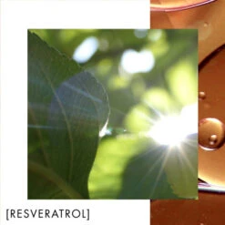 Biotherm Blue Therapy Crème De Nuit Nutrition Et Éclat -Kapao Magasin blue therapy creme de nuit nutrition et eclat 2