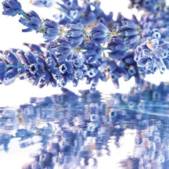 Coffret Mon Guerlain Coffret Pour Femme 7 Coffret Mon Guerlain Coffret Pour Femme -Kapao Magasin coffret mon guerlain 3