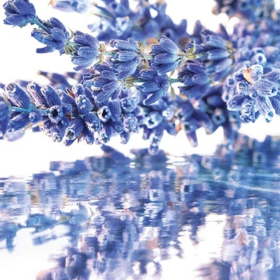 Coffret Mon Guerlain Coffret Pour Femme 4 Coffret Mon Guerlain Coffret Pour Femme – Image 4