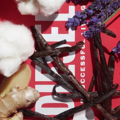 D By Diesel Eau De Toilette 19 D By Diesel Eau De Toilette – Image 19