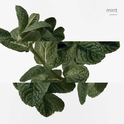 Hermès Eau D'orange Verte Eau De Cologne 14 Hermès Eau D'orange Verte Eau De Cologne – Image 14