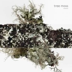 Hermès Eau D'orange Verte Eau De Cologne 34 Hermès Eau D'orange Verte Eau De Cologne -Kapao Magasin eau orange verte 14