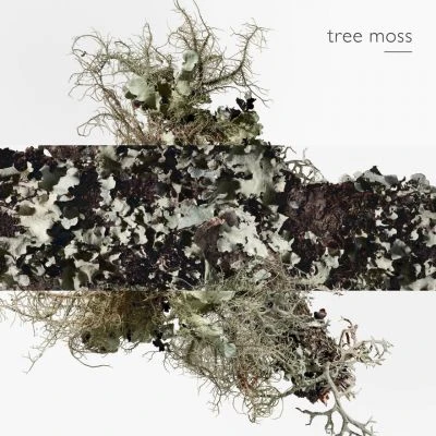 Hermès Eau D'orange Verte Eau De Cologne 8 Hermès Eau D'orange Verte Eau De Cologne – Image 8