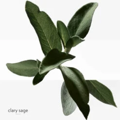 Hermès H24 Savon 15 Hermès H24 Savon -Kapao Magasin h24 savon 4