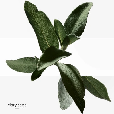 Hermès H24 Savon 5 Hermès H24 Savon – Image 5