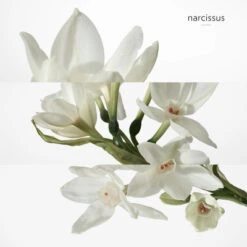 Hermès H24 Savon 16 Hermès H24 Savon -Kapao Magasin h24 savon 5