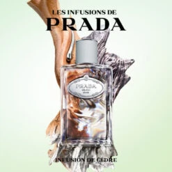 Prada Infusion De Cèdre Eau De Parfum 7 Prada Infusion De Cèdre Eau De Parfum -Kapao Magasin infusion de cedre eau de parfum 2
