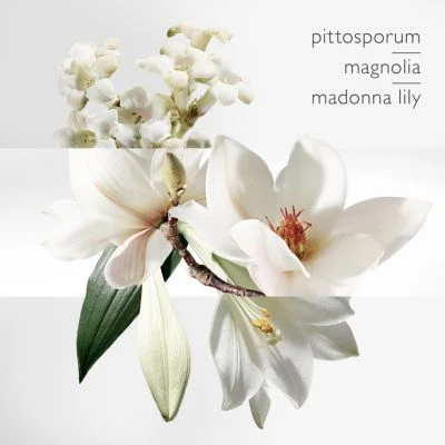 Hermès Un Jardin Sur La Lagune Eau De Toilette 4 Hermès Un Jardin Sur La Lagune Eau De Toilette – Image 4