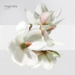 Hermès Un Jardin Sur La Lagune Eau De Toilette 15 Hermès Un Jardin Sur La Lagune Eau De Toilette -Kapao Magasin jardin lagune edt 4