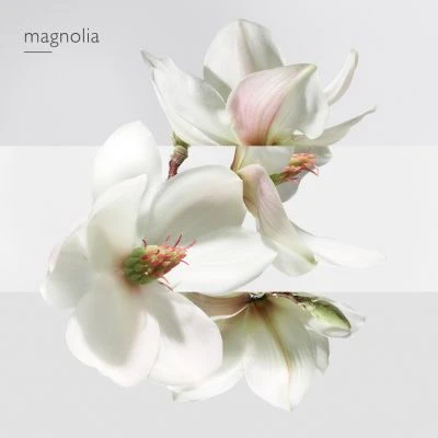 Hermès Un Jardin Sur La Lagune Eau De Toilette 5 Hermès Un Jardin Sur La Lagune Eau De Toilette – Image 5