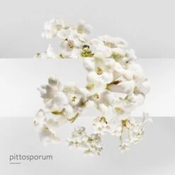 Hermès Un Jardin Sur La Lagune Eau De Toilette 16 Hermès Un Jardin Sur La Lagune Eau De Toilette -Kapao Magasin jardin lagune edt 5