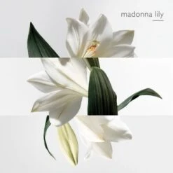 Hermès Un Jardin Sur La Lagune Eau De Toilette 17 Hermès Un Jardin Sur La Lagune Eau De Toilette -Kapao Magasin jardin lagune edt 6