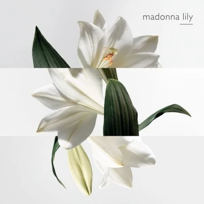 Hermès Un Jardin Sur La Lagune Eau De Toilette 7 Hermès Un Jardin Sur La Lagune Eau De Toilette – Image 7