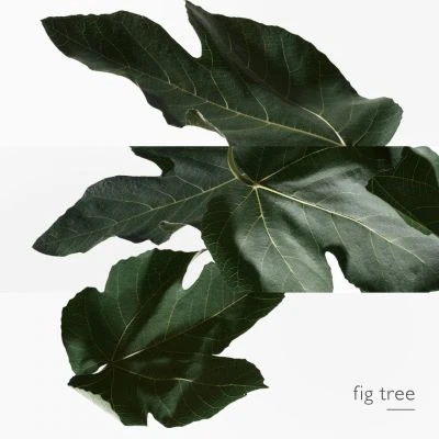 Hermès Un Jardin En Méditerranée Eau De Toilette 4 Hermès Un Jardin En Méditerranée Eau De Toilette – Image 4