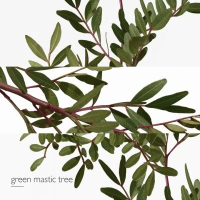 Hermès Un Jardin En Méditerranée Eau De Toilette 5 Hermès Un Jardin En Méditerranée Eau De Toilette – Image 5