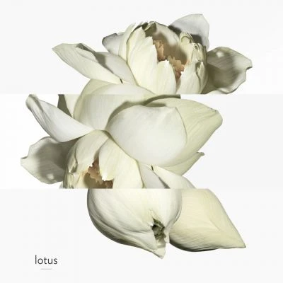 Hermès Un Jardin Sur Le Nil Eau De Toilette 5 Hermès Un Jardin Sur Le Nil Eau De Toilette – Image 5