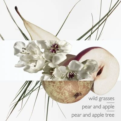 Hermès Un Jardin Sur Le Toit Eau De Toilette 3 Hermès Un Jardin Sur Le Toit Eau De Toilette – Image 3