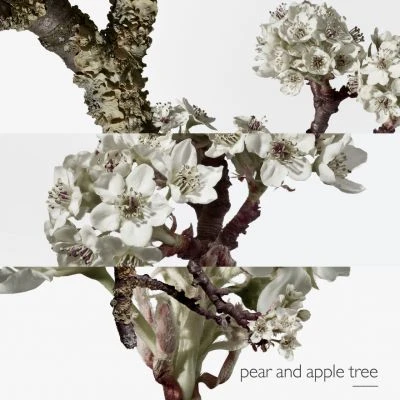 Hermès Un Jardin Sur Le Toit Eau De Toilette 4 Hermès Un Jardin Sur Le Toit Eau De Toilette – Image 4