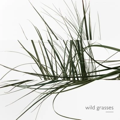 Hermès Un Jardin Sur Le Toit Eau De Toilette 6 Hermès Un Jardin Sur Le Toit Eau De Toilette – Image 6