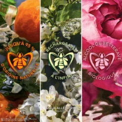 Guerlain Coffret Aqua Allegoria Mandarine Basilic Coffret Pour Femme 11 Guerlain Coffret Aqua Allegoria Mandarine Basilic Coffret Pour Femme -Kapao Magasin mand basilic f set 5