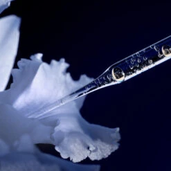 Guerlain Orchidée Impériale La Lotion Essence 11 Guerlain Orchidée Impériale La Lotion Essence -Kapao Magasin orchid imp lotion 3