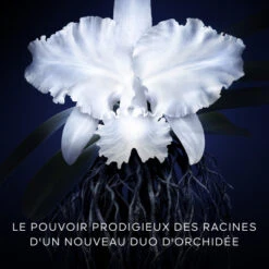Guerlain Orchidée Impériale La Crème Légère -Kapao Magasin orchidee imp creme 3