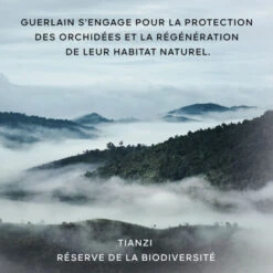 Guerlain Orchidée Impériale La Gelée D'Huile 16 Guerlain Orchidée Impériale La Gelée D'Huile -Kapao Magasin orchidee imperiale 1 7