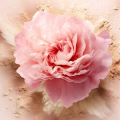 Poudre Semi-Libre Poudre Fine -Kapao Magasin poudre semi libre poudre 10