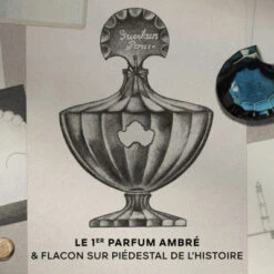 Guerlain Shalimar L'Essence Eau De Parfum Intense 23 Guerlain Shalimar L'Essence Eau De Parfum Intense -Kapao Magasin shalimar l essence 3