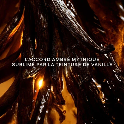 Guerlain Shalimar L'Essence Eau De Parfum Intense 9 Guerlain Shalimar L'Essence Eau De Parfum Intense – Image 9