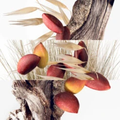 Hermès Un Jardin à Cythère Eau De Toilette 34 Hermès Un Jardin à Cythère Eau De Toilette -Kapao Magasin un jardin a cythere 14