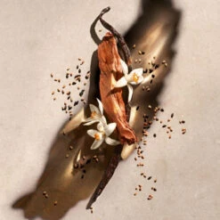 Zadig & Voltaire ZADIG Gel Douche Parfumé 7 Zadig & Voltaire ZADIG Gel Douche Parfumé -Kapao Magasin zadig 2