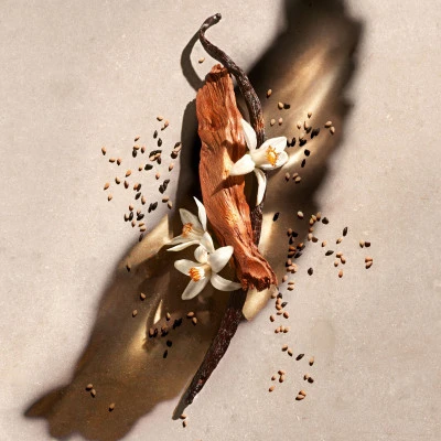 Zadig & Voltaire ZADIG Gel Douche Parfumé 3 Zadig & Voltaire ZADIG Gel Douche Parfumé – Image 3